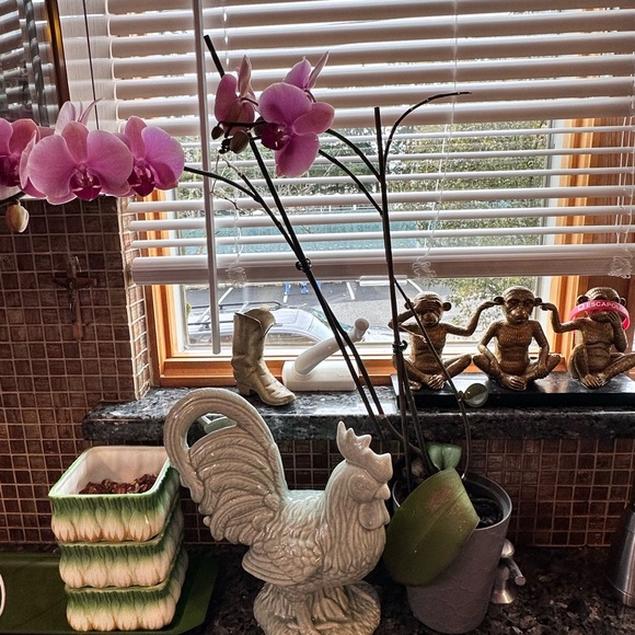 Item live show for fun - Picture 4 of 6